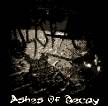 Ashes Of Decay : Ashes of Decay